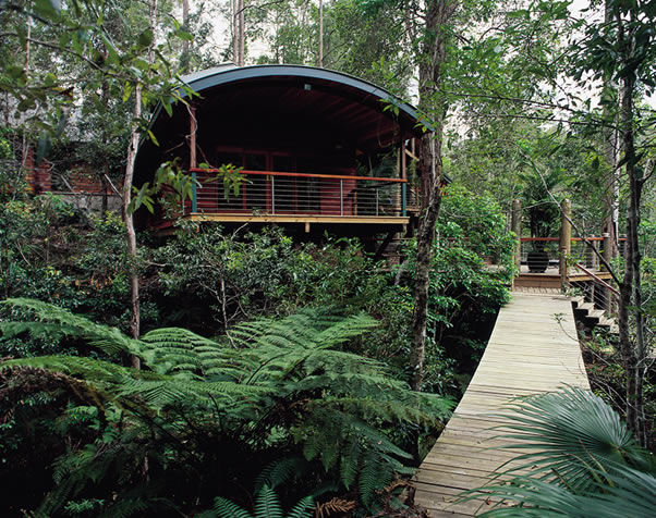 Large image of external photo of pole home in Noosa Hinterland and main walkway to the upper deck