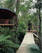 Thumbnail of external photo of pole home in Noosa Hinterland and main walkway to the upper deck