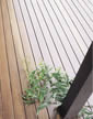 Thumbnail of a typical select grade spotted gum deck featuring gum leaves
